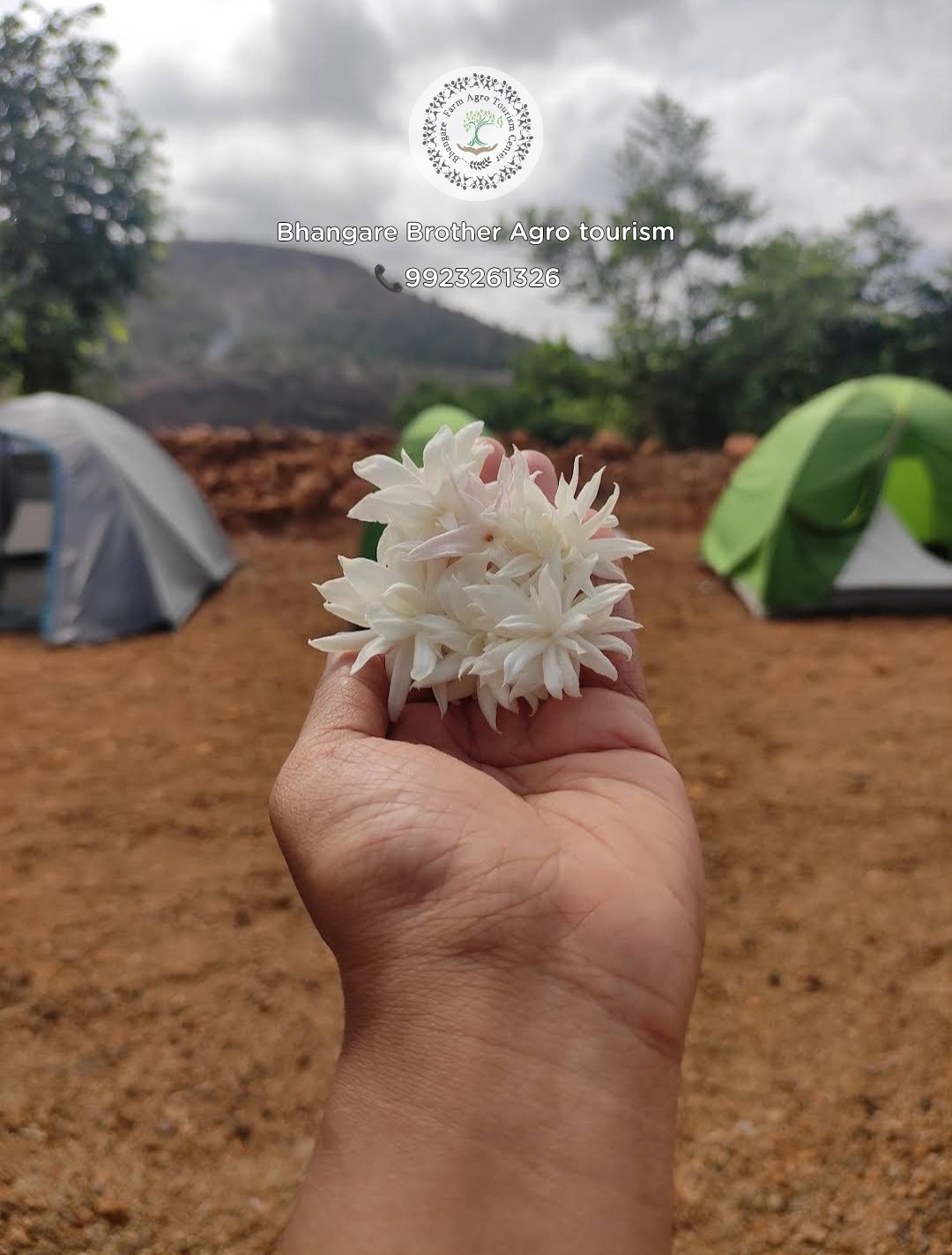 Tent Stay